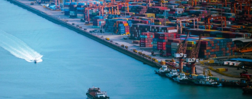 陈皮香韵从岭南野外跨越山海走向天下